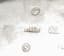 HARRIS & SCHAFER PAIR OF SILVER SALT CELLARS