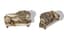 PAIR OF TWO SILVER RECUMBENT LIONS