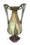 AMPHORA VASE