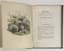 JEAN-JACQUES GRANDVILLE (1803-1847)
TAXILE DELORD (1815-1877)
"The Animated Flowers”
Paris, de Gonet, 1847.
Introduction by Alphonse Karr, Text by Taxile Delord.