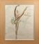JEAN TOTH (1899-1972)
Ballet dancers: 4 watercolours