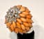 ‘DOME’ CORAL AND DIAMOND 18K GOLD RING