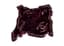 CHANEL
Velvet Scarf