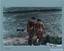 Giovanni Ferraguti (born 1939)
Isola di Hieres-naturalisi. (Hyères island), 1993
