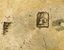 RUSSIAN 18TH CENTURY SILVER-GILT AND NIELLO SNUFF BOX
Assay master’s mark of Alexei Torlov, Veliky Ustyug, 1788