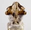 RUSSIAN 18TH CENTURY SILVER JUG DECORATED WITH HEART ORNAMENT
Maker’s mark of Semenov Petr, Russia, Moscow, 1739