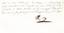 Napoleon Bonaparte. 1769-1821. Emperor of the French.
Letter signed "Np" to Count Bertrand. Longone, September 9, 1814. 1 pp. ¼ in-4. Interesting letter from the Emperor to G...