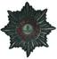 Cloth star of the Russian Imperial Order of St. Alexander Nevsky Early 19th century.