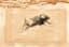 LÉON BAKST (1866-1924)
Isadora Duncan on the beach in Venice