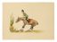 UNKNOWN ARTIST, 19-20TH CENTURY
Horse artillery officer at the races