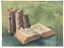 NIKOLAI PIROGOV (1872–1913)
Books and spectacles