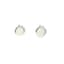 OPAL AND SILVER EARRINGS
