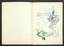 BALLET PROGRAM “La Perle” (Pearl). Peterhof, July 18, 1898. Illustrations N.Samokish and E. Samokish-Sudkovskaya.