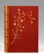 GUSTAVE FLAUBERT (1821-1880) (author), EMILE ADAN (1839-1937) (illustrator), PETRUS RUBAN (1851-1929) (binding)
Un coeur simple
Ed. Ferroud, Paris, 1894, n. 173