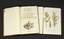 PALLAS P. S. FLORA OF RUSSIA Pallas P. S. Flora Rossica, seu Stirpium Imperii Rossici per Europam et Asiam indigenarum descriptiones et icones / Iussu et auspiciis Catharinae II. augustae edidit P. S. Pallas. Petropoli: E Typographia Imperiali J. J. Weitbrecht, 1784-1788. Flora of Russia, a description of the plants of the Russian state with their images by the All Highest order and with support of her imp. Majesty, published by P. S. Pallas.