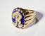 ROYAL YELLOW GOLD AND DIAMONDS MEN RING