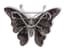 BUTTERFLY’ 18K WHITE AND BLACK GOLD, DIAMONDS, RUBIES, ROSE AND YELLOW SAPPHIRES BROOCH
