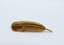 HERMES FEATHER BROOCH
18k yellow gold brooch