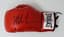MIKE TYSON (B.1966), AUTOGRAPH
MIKE TYSON’S HAND-SIGNED RING RED EVERLAST BOXING GLOVE
Red left-handed Everlast boxing glove, prominently signed in black felt tip by Mike Tyson.