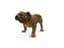 AUSTRIAN ARTIST, (19TH -20TH CENTURY)
Bulldog, circa 1900