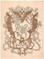 Program of the Russian Ballet. Tzarskoïe Selo, May 1902. 3 pp. bi-lea et grand in-4, illustrated cover by Golovine. Det...