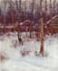 Vasili Levi (1878-1954)
Winter landscape in Terioke