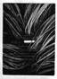 Taisia Korotkova (b. 1980)
Untitled, from the series ‘Large Hadron Collider’, 2014 Etching 58 х 58 cm Provenance: In-Art, Moscow из серии «Большой ...