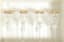 VERSACE
ROSENTHAL
LOT OF 24 MEDUSA GLASSES