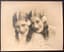 FIVE AUTOGRAPHED PHOTOGRAPHS
SIGNED : GABY MORLAY - MIREILLE - JEANNE HELBLING - THE ROWE SISTERS - MICKEY ROONEY