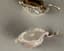 PAIR OF VINTAGE SWAN SHAPED MENU
HOLDERS