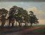 VASILI EKGORST (1831-1901)
Pines by the Sea