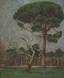 Jean PESKE (1870-1949)
Forest in Provence 