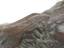 George Lavroff (1895-1991)
Art Deco plated bronze sculpture. Pair of pheasants