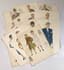 1940S FASHION
SET OF 61 FASHION PLATES, IN COLOUR, YEARS 1941-1943-1944-1945-1946