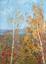ANDREI OVCHAROV (1926-1994)
Autumn