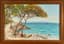 SERGE SEDRAC (1878-1974)
Sunny day in Cap d’Antibes