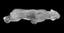 CRYSTAL RAJAH JAGUAR, LALIQUE
Marked “Lalique France” on the hind paw