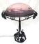 MULLER FRERES
Table lamp