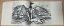 BERNARD BUFFET (1928-1999)
LES OISEAUX
ALBUM 1960.
1 VOLUME. EN FRANÇAIS.
