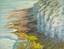 R. GEFFROY
Sea shore