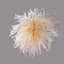 CHANEL FEATHER BROOCH, 2017
