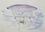 7 WATERCLOURS DEPICTING THE GERMAN AIRCRAFT CARRIER GRAF ZEPPELIN
Watercolour on paper, with text in German