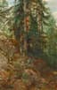 SEMEN FEDOROV (1867-1910)
Forest landscape