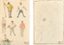 DMITRY MITROKHIN (1883 - 1973)
Football players. Set of two sketches