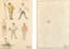 DMITRY MITROKHIN (1883 - 1973)
Football players. Set of two sketches