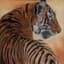 BETTY TRISCORNIA (20TH -21ST CENTURY)
Tiger