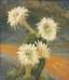 M. JANSEN, 19TH-20TH CENTURY
Cactus