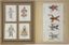 [THE RUSSIAN OPERA IN PARIS], three programmes
Programme of the first season 1929 / Opéra privé de Paris. Paris, [1928].