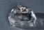 CRYSTAL ASHTRAY WITH A SILVER FIGURINE OF A DOG
J.D. Schleissner & Sohne, Hanau, imported by Buchholz & Zelt, New York, circa 1900