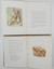BEATRIX POTTER (1866-1943)
5 tales